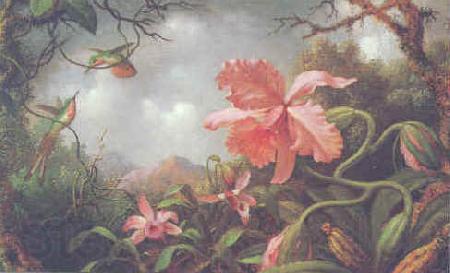 Martin Johnson Heade Hummingbirds and Two Varieties of Orchids Norge oil painting art